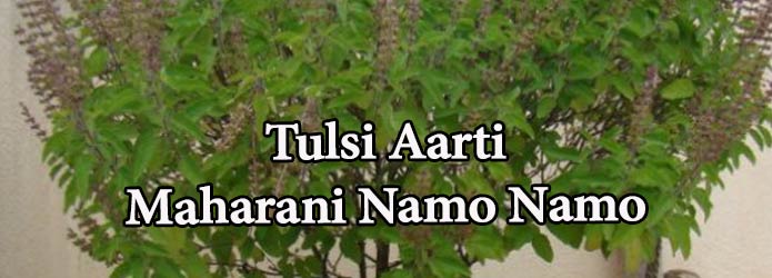 Tulsi Aarti - Maharani Namo Namo (????? ???? - ??????? ???-???)